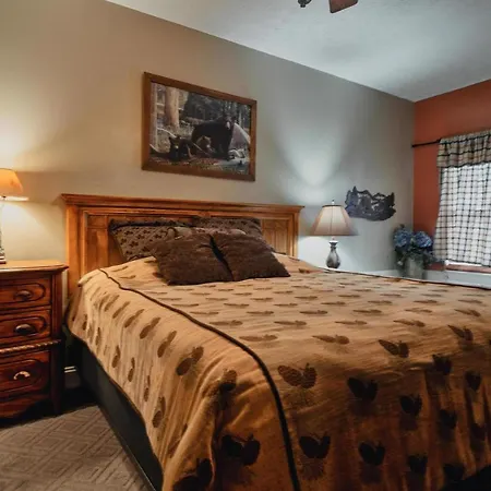 Appartamento Gv - Unit 1502 - Happy Time Bear Pigeon Forge Esterno foto