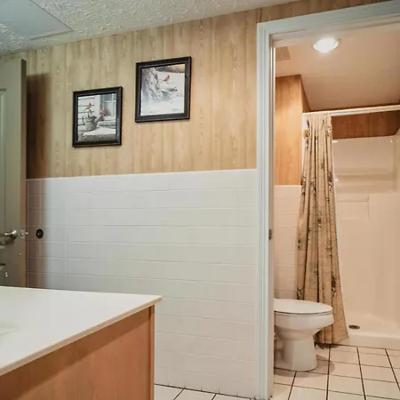 Appartamento Gv - Unit 1502 - Happy Time Bear Pigeon Forge Esterno foto